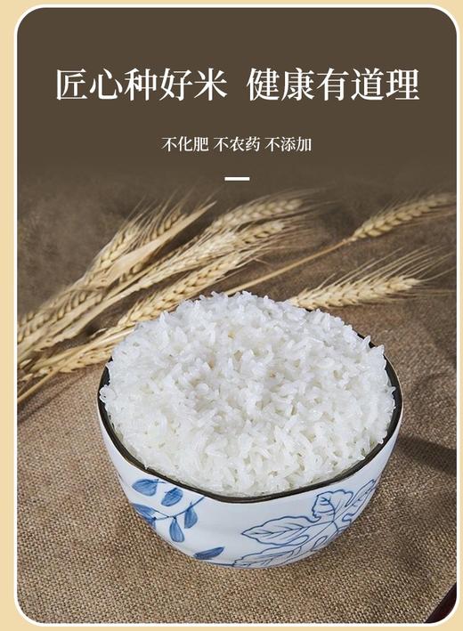 穗月之歌---真五常有机大米 商品图2