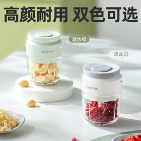 多功能小型佐料机 | 厨房级细腻速绞 300m1大容量 包围式隔离盖 不锈钢3叶刀 三重贴心设计 食品级玻璃易洗易洁使用安心