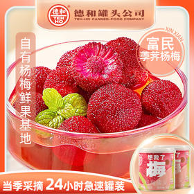 想我了梅 杨梅罐头285g/罐  杨梅礼盒 云南特产德和糖水新鲜杨梅罐头285g/罐水果罐头休闲零食#润