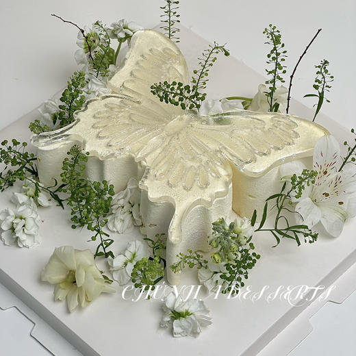 梦境蝴蝶  商品图2