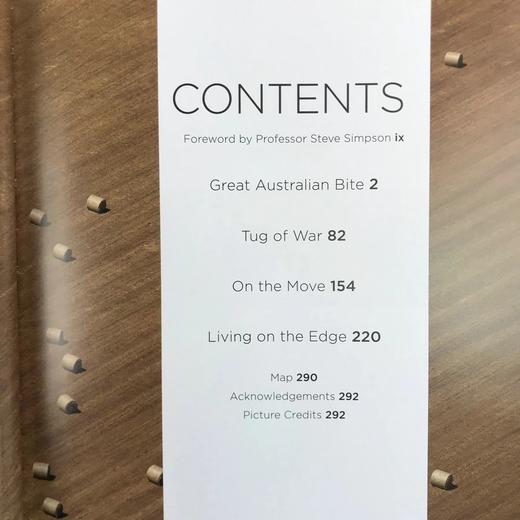 伟大的南方土地 数百幅彩色插图 精装16开 商品图4