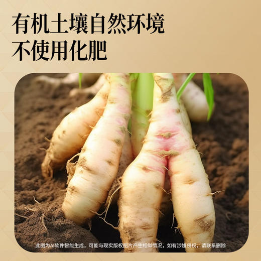 【正宗同仁堂品牌】北京同仁堂 青源堂 有机干姜100克（5g*20包） 严选有机  自然生长 辛香暖身 独立包装SY 商品图4