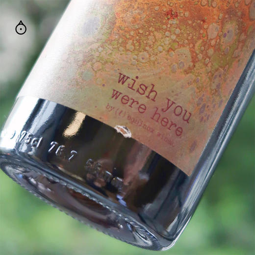 企鹅市集|小酒馆爆款自然酒 Wish You Were Here 愿你在此·干红葡萄酒2021 野樱桃乌梅汁  商品图1