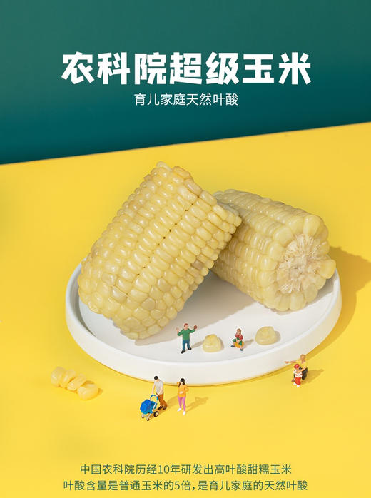 【自营】斯玉安高叶酸有机玉米 多规格 商品图1