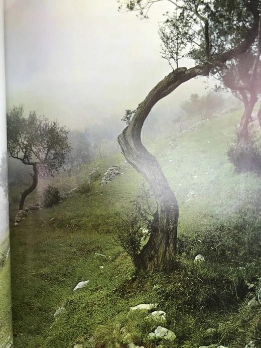 古罗马 数百幅插图 精装大16开 商品图13