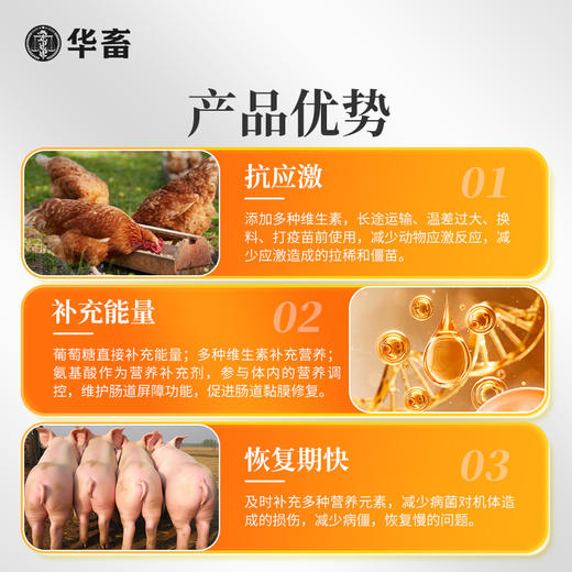 华畜 百病抗500g  抗应激抵抗力强补充能量快Z 商品图3