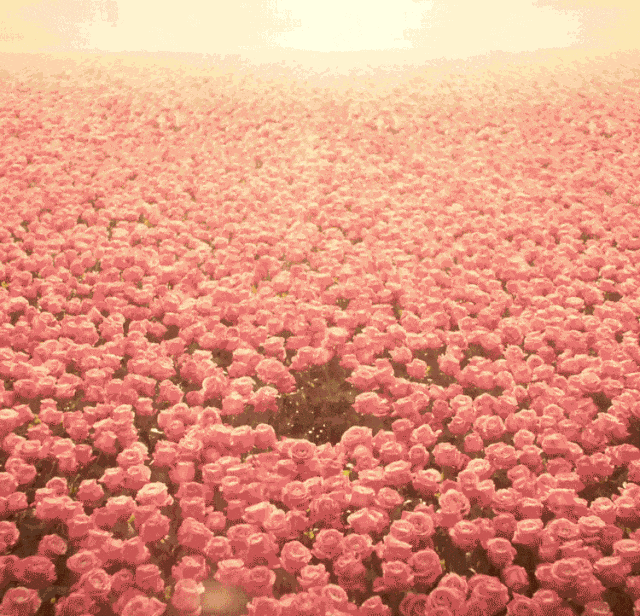 chanel香奈儿香水+​气垫四件套礼盒！​加赠化妆包！速抢！ 