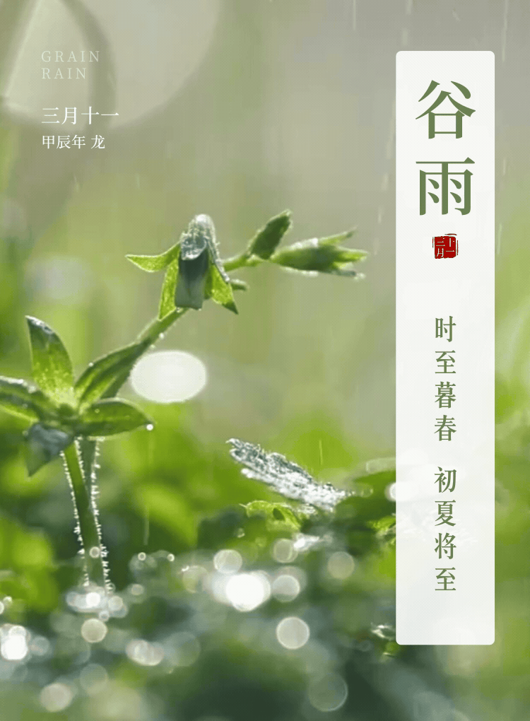 谷雨 | 时至暮春，初夏将至