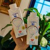 [屁侠推荐]春光椰子汁 一口鲜气 原颗椰子生榨 植物蛋白饮料 商品缩略图0