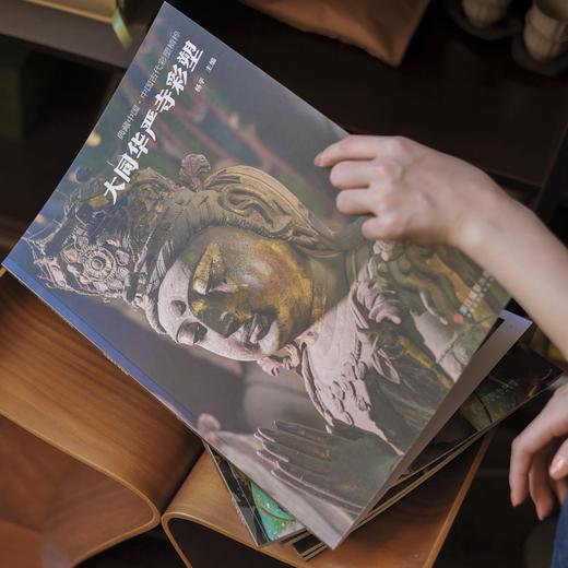 《典藏中国·中国古代彩塑精粹》全8册 中国式审美，超300幅高清图片 商品图4