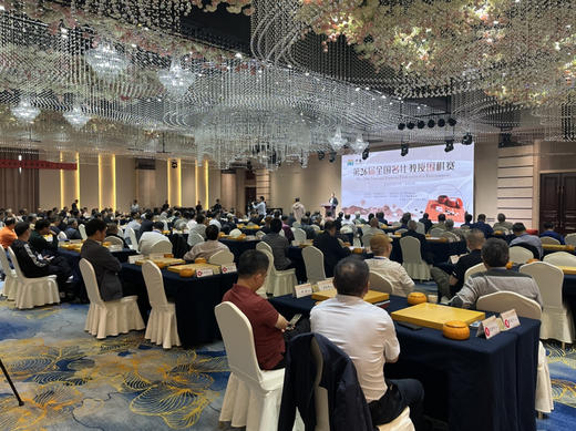 全国比赛套装：4厘米厚新榧棋盘+大号独木围棋罐+正宗云子+定制签名。 商品图4