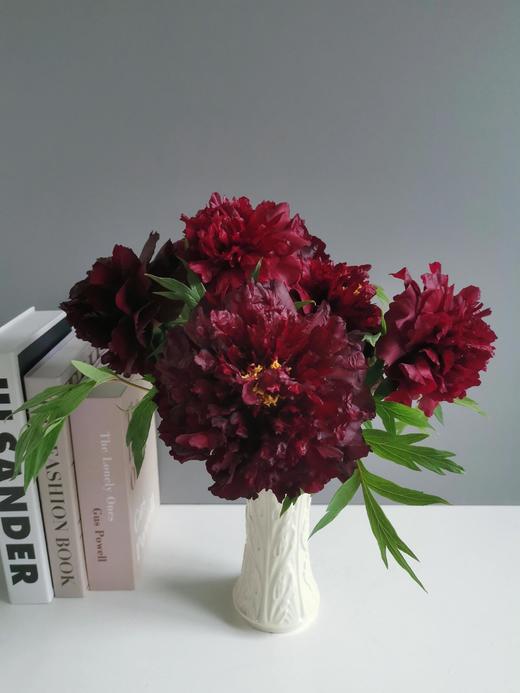 【预售！4.20起陆续发出】黑豹牡丹【花事，万般烂漫，惟牡丹，堪称倾国。】简小姐精选 黑豹牡丹 顺丰2件包邮 商品图5