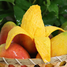 【大果单果200g+】海南好物 贵妃芒 3斤/5斤