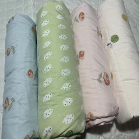 【35元/床】宏丰小竺棉单人夏被150*200（1227194）