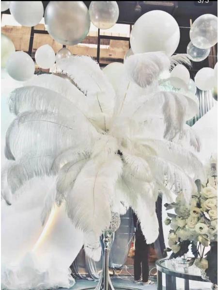白色鸵鸟羽毛（30-35cm） 商品图4