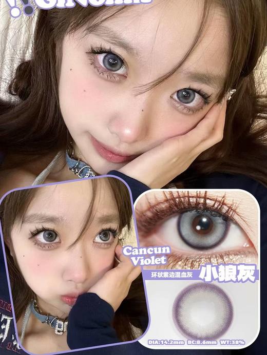 GINOMII 月抛 厌世小狼&麻豆公主&布偶骑士&小粉片&小蓝片 商品图5