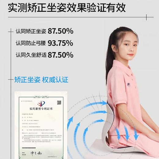 思菲其护腰靠垫/坐垫 商品图2