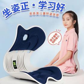 思菲其护腰靠垫/坐垫
