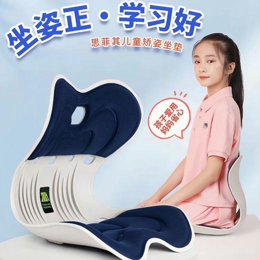 思菲其护腰靠垫/坐垫 商品图0