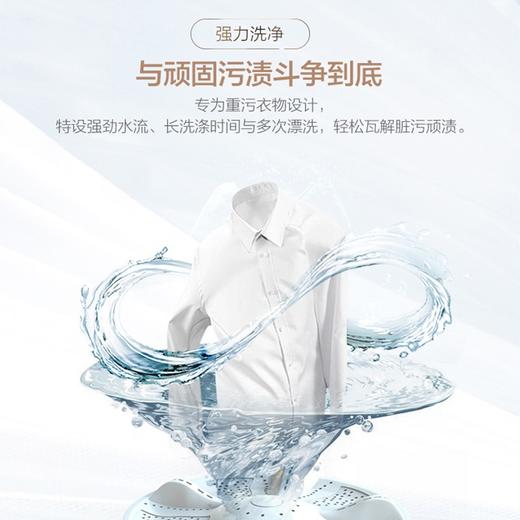 Leader海尔智家统帅波轮洗衣机全自动 8公斤大容量十年桶如新柔护内筒 水电双宽 租房神器桶自洁 商品图2