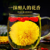 贡苑菊花茶金丝小皇菊【约100朵】30g黄山大朵贡菊杭白胎菊干花草茶叶 商品缩略图8