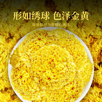 贡苑菊花茶金丝小皇菊【约100朵】30g黄山大朵贡菊杭白胎菊干花草茶叶 商品图4