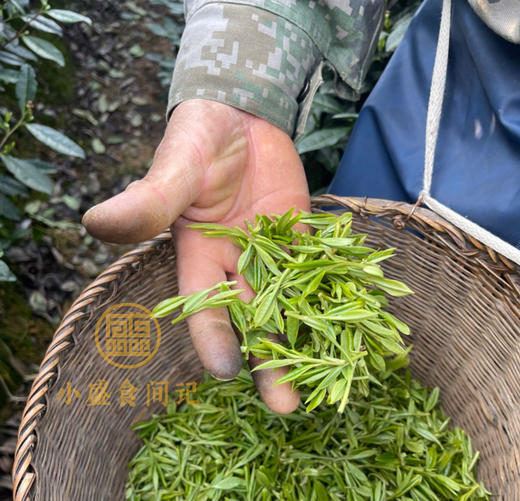 龙井茶｜明前头采 90g 商品图5