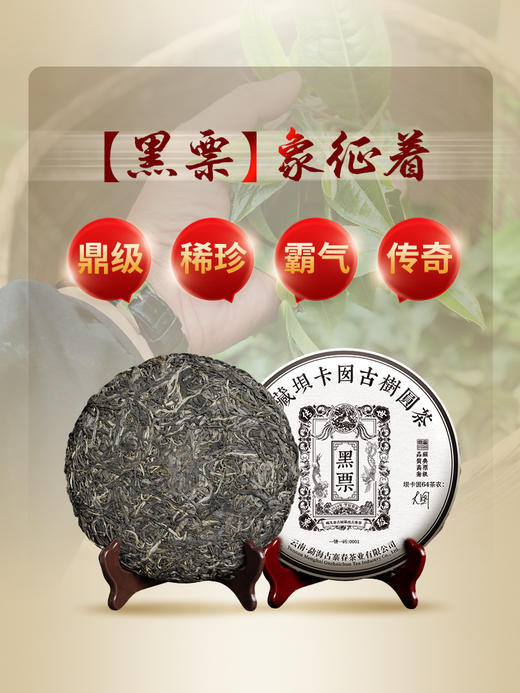 2024年【传世—黑票】坝卡囡全新全面升级更稀缺更具有收藏价值一年仅采一次一年仅出一批，古寨春独享茶地片区资源 拍5发6 拍20发25 商品图6