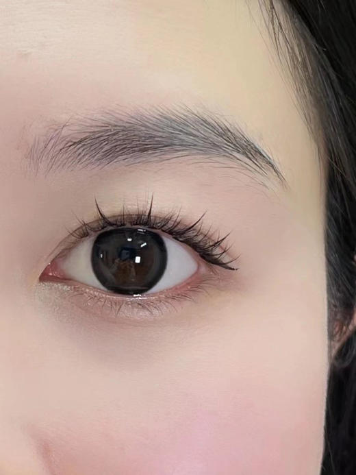 Aromi 奶球黑/麻球棕 半年抛 直径14.5mm 着色13.9mm 含水38% 基弧8.6 商品图2