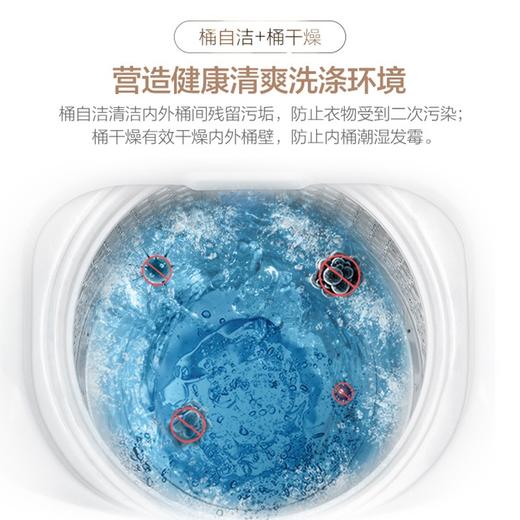 Leader海尔智家统帅波轮洗衣机全自动 8公斤大容量十年桶如新柔护内筒 水电双宽 租房神器桶自洁 商品图6