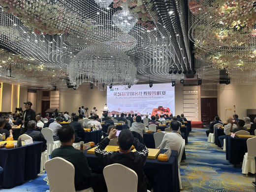 全国比赛套装：4厘米厚新榧棋盘+大号独木围棋罐+正宗云子+定制签名。 商品图3