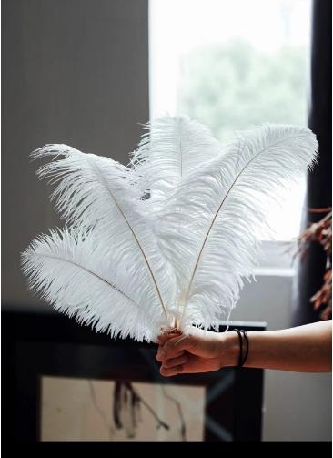 白色鸵鸟羽毛（30-35cm） 商品图3