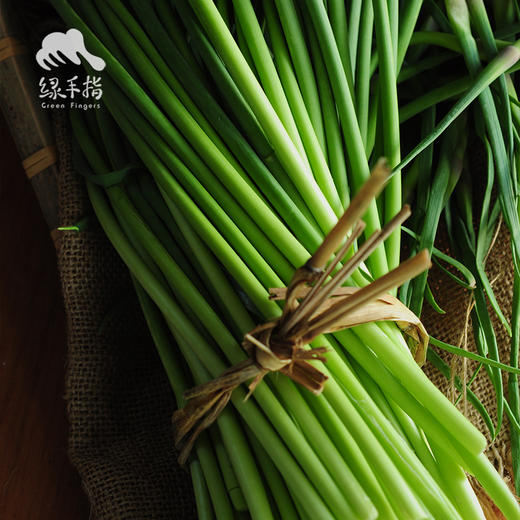 生态山东蒜薹 | 合作生产*Eco-young garlic shoot | Coproduction 商品图5