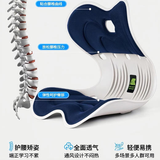 思菲其护腰靠垫/坐垫 商品图4