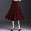 百褶半身裙2025春夏季新款韩版简约修身银丝a字裙弹力甜美中长裙 商品缩略图10