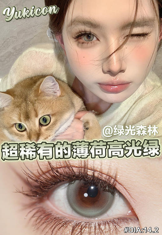 Yukicon 绿光森林 日抛 十片 14.2mm 参考着色 13.6mm 基弧 8.5 含水 50% 新锐国货 商品图1