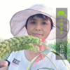 生态山东蒜薹 | 合作生产*Eco-young garlic shoot | Coproduction 商品缩略图2