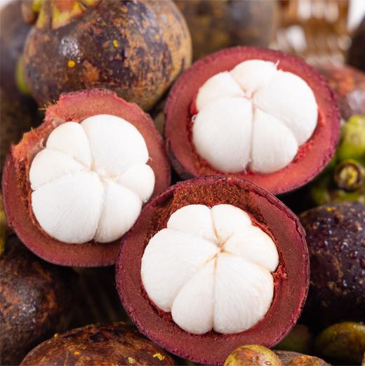 泰国老树麻竹 商品图0