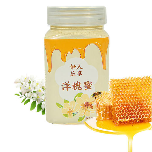 【洋槐蜜】蜂蜜纯正天然结晶农家自产洋槐蜜 500g/瓶 商品图0