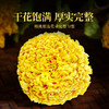 贡苑菊花茶金丝小皇菊【约100朵】30g黄山大朵贡菊杭白胎菊干花草茶叶 商品缩略图1
