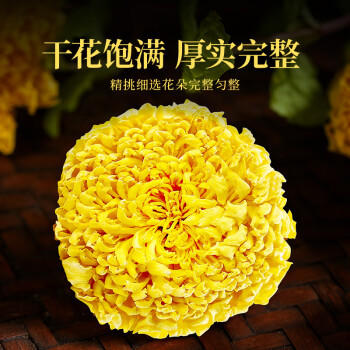 贡苑菊花茶金丝小皇菊【约100朵】30g黄山大朵贡菊杭白胎菊干花草茶叶 商品图1