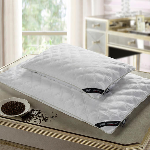 【春上新】10楼 安睡宝 多针绗缝立体全荞麦枕 吊牌价459-699元/只 活动价259-359元/只 商品图0