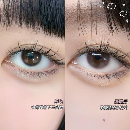 GINOMII 月抛 厌世小狼&麻豆公主&布偶骑士&小粉片&小蓝片 商品图2