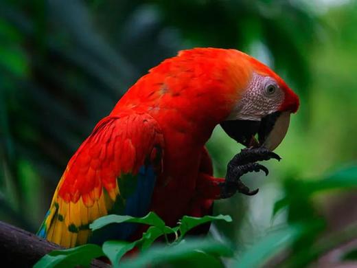 秘鲁全景深度之旅 商品图5