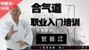 合气道职业入门培训——贺振江【在线观看，无需发货】 商品缩略图0