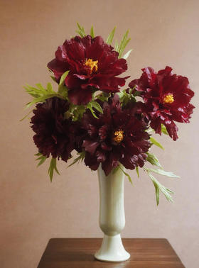 【预售！4.20起陆续发出】黑豹牡丹【花事，万般烂漫，惟牡丹，堪称倾国。】简小姐精选 黑豹牡丹 顺丰2件包邮