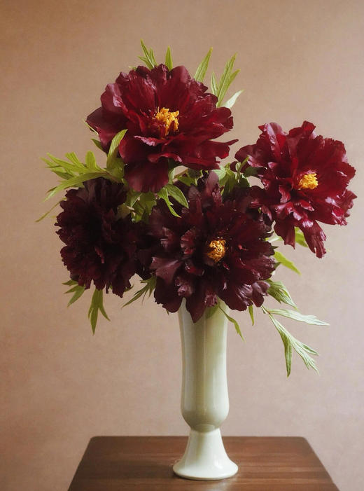 【预售！4.20起陆续发出】黑豹牡丹【花事，万般烂漫，惟牡丹，堪称倾国。】简小姐精选 黑豹牡丹 顺丰2件包邮 商品图0