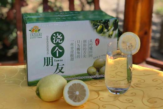 399柠檬鲜果 商品图0