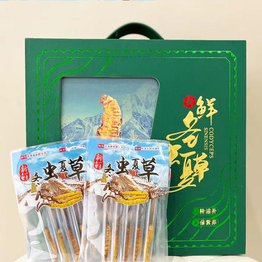 2025年玉树新鲜冬虫夏草礼盒 商品图1