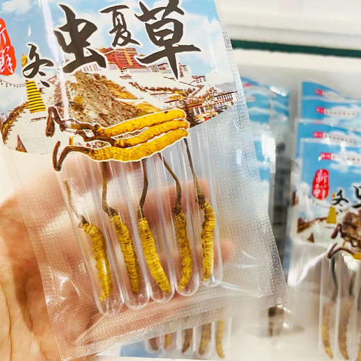 2025年玉树新鲜冬虫夏草礼盒 商品图2